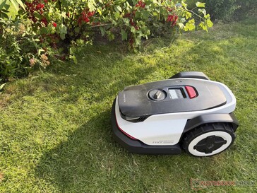 If, on the other hand, plants are hanging over the edge of the lawn, the robotic mower will give them a wide berth.