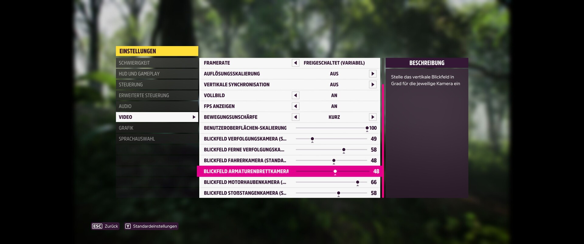 Forza Horizon 5 Performance: The Best Settings for High FPS