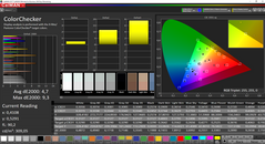 CalMAN: ColorChecker before calibration (sRGB target color space)