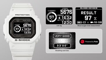 Lets you see various health stats at a glance. (Image source: Casio)