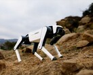 Dobot's latest robot dog is expected to cost just above $1,000. (Image source: Dobot)