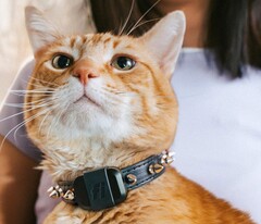 The Fi Mini tracker allow owners to track their pets&#039; fitness and locations. (Image source: Fi)