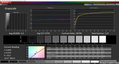 CalMAN Grayscale (target color space DCI-P3)