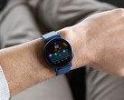 The Vivoactive 5 has received a somewhat unusual update on Garmin's Beta Program. (Image source: Garmin)