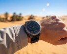 Garmin's Enduro 3 (pictured here) may be facing serious competition soon.