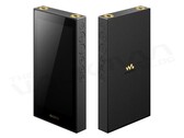 The Sony Walkman NW-ZX900 adopts the design of the ZX707 but is slightly larger.