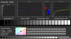 CalMAN - Grayscales (calibrated)