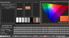 CalMAN: ColorChecker (calibrated)