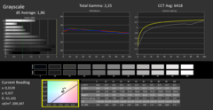 CalMAN - Grayscale (calibrated)