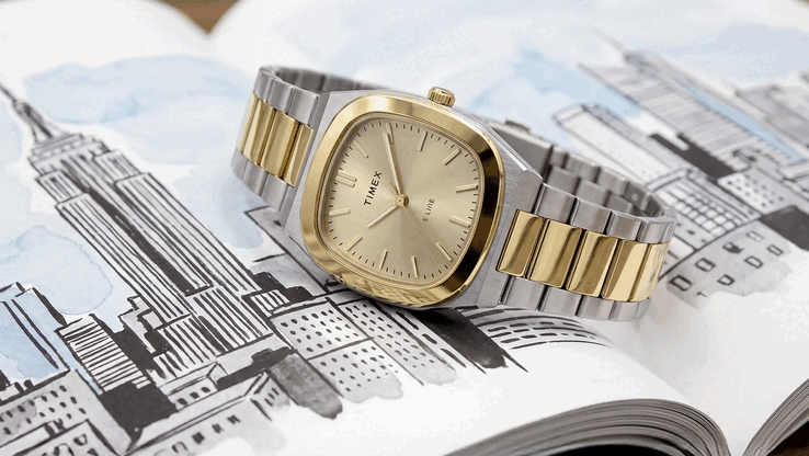 Timex TW6A00800