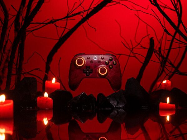 (Image source: 8BitDo)