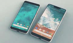The Pixel 3 and Pixel 3 XL. (Source: Daily Express)