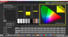 CalMAN ColorChecker (P3 target color space)