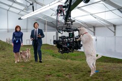 To achieve the show's distinct, '70s-inspired aesthetic, the camera bodies were paired with Panavision C Series anamorphic lenses. (Image source: Apple TV+)