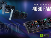 PNY's RTX 4060 cards. (Source: PNY)