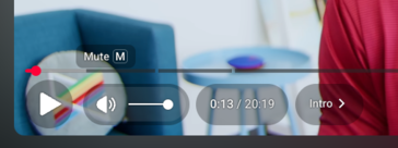 New video controls now appear in semi-transparent bubbles. (Image source: Kristen Spradlin / Notebookcheck)