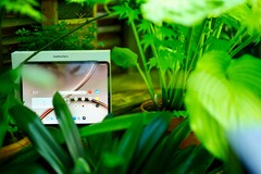 The OnePlus 4 is a great tablet, but its support period isn't ideal.