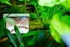 OnePlus Pad 4 Review