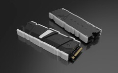 Asura M.2 SSDs now available with removable heatsink, RGB lighting, and a 7-year warranty (Source: Asura)