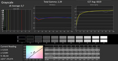 CalMAN - Grayscale (after calibration)