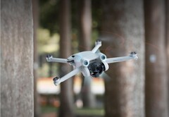The Mini 3 Pro could soon be joined by a cheaper drone also sold under the Mini 3 series. (Image source: DJI)