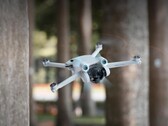 The Mini 3 Pro could soon be joined by a cheaper drone also sold under the Mini 3 series. (Image source: DJI)