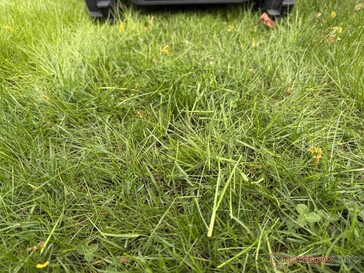 The Airseekers Tron leaves longer grass clippings in the test...