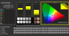 CalMAN - Color Checker