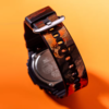 (Image source: Casio)