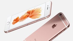 The 6 Plus. (Image source: Apple)