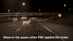 FSD applied the brakes to avoid hitting the deer (Image source: HaobamMano/X)