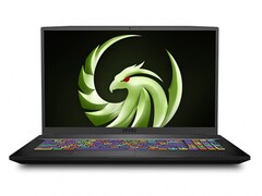 MSI Bravo 17: Budget gaming machine