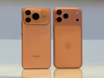 The similarities predominate on the back.