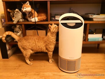 Cat vs. medium-sized TruSens air purifier for size reference