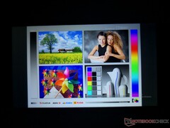 Wide IPS viewing angles. Colors and contrast shift if viewing from extreme angles