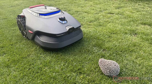 In the test, the Mova LiDAX Ultra reliably avoided our hedgehog dummy...