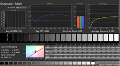 CalMAN: Grayscale (calibrated)