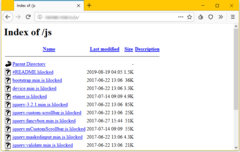 An infected directory showing files with a 