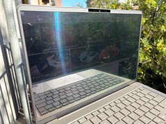 In the sun