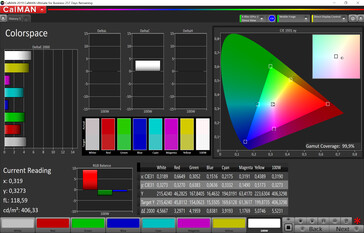 CalMAN - Color Space