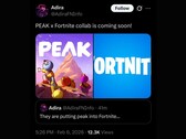 tHE Fortnite X Peak collaboration allegedly leaked by Cohen under the Adira X account