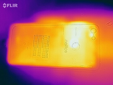 Heat map - back