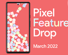 The Pixel 6 series has received numerous features this month with Google's latest Feature Drop. (Image source: Google)