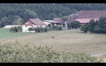 Same motive, 12x zoom