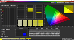 CalMAN Saturation Sweeps (target color space sRGB)