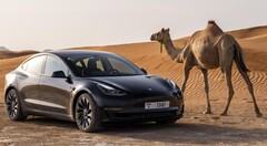 The AWD Tesla Model 3 Long Range is available to order once more. (Image source: Tesla)