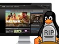 This could well be the end of the road for Steam and Ubuntu. (Image source: Omg! Ubuntu!)