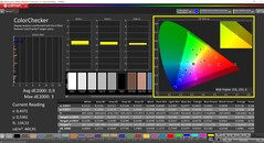 CalMAN ColorChecker (profile: calibrated, target color space: P3)