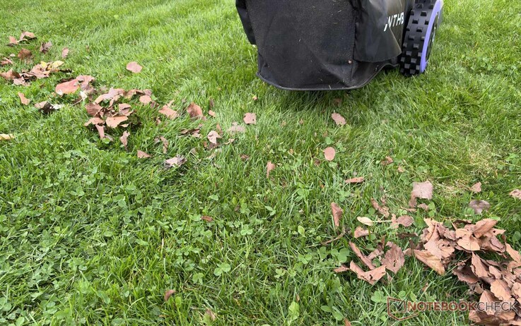 The Anthbot N8 did a good job of collecting leaves in the test—thanks in part to its checkerboard pattern.