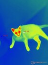 Organic thermals